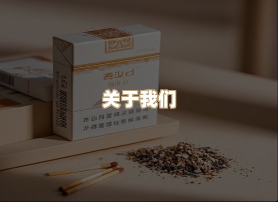 关于蓝帝网